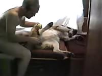 Old man licking a dog's ass amateur beastiality