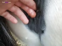 Zoophilia gay fingers animal farm xxx