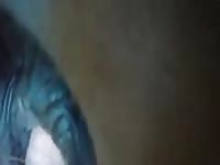 Zoophilia gay shoot his cum on horse xxx