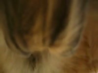 Finger fucking a nasty hole at a zoo xxx