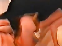 Free dog porn wrecking horny bitch
