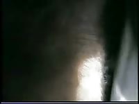 Animals zoo porn craves for dick