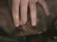 Hardcore animal porn with naked gay