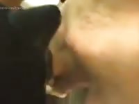 Big dick gay beast on pet porn