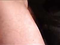 Gay beast on k9 dog sex