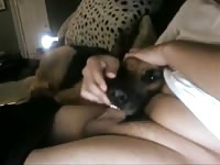 Dog giving blowjob at the CR
