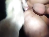 Animal sex toy banging a gay's ass
