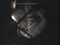 Zoophilia porn film with dog