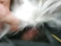 Furry pet porn of man and dog