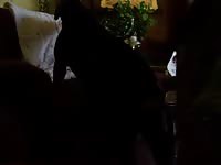 Amateur beastiality video with dog