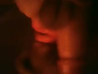 Zoo xxx fingering a dog's pussy