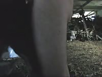 K9 knot tumblr with naked gay