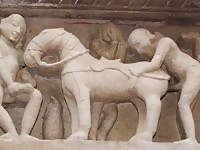 Zoophilia history on animated beastiality