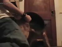 Force beastiality of man and dog