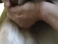 Big dog dick got compared to man's cock