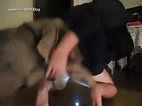 Animal sex toy fucked a gay