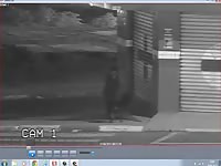 Public dog sex with man