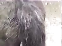 Pony porn man fucks a mare