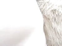 Me x zoo fucking a dog's ass