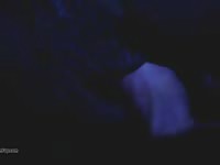 Pornbraze dog porno in the dark