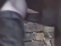 Giant horse dick banged a gay