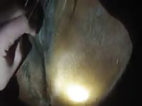Gay beastiality porn cumming to a mare