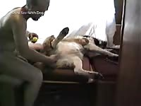 Gay making his dog orgasm