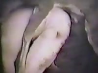 Gay on dog anal sex until he cum