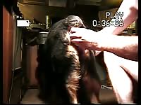 Kitchen sex with a pet porn