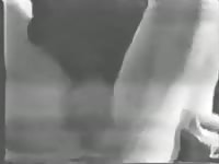 Webcam caught  an amateur animal sex