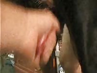Black k9 sex with neighbor