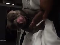 Hardcore animal porn in the bedroom