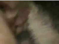 Pet porn with furry dog