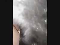 Man force beastiality his dog