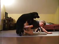 Free dog porn with young gay