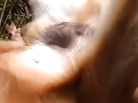 Outdoor dog porn with pet owner