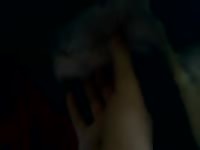 Animal sex clips with gay and dog