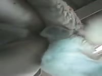Amateur dog sex with furry pet