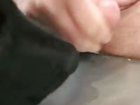 Me x zoo dog sucking a cock