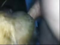 Amateur beastiality with dog blowjob