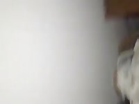 Dog porno sucking a big cock