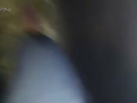 Gay beastiality porn with a horse