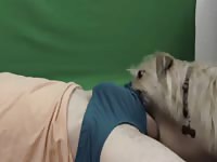 Kissing a man's underwear amateur beastiality