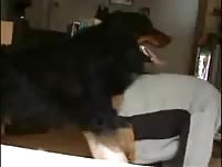 Gay animal sex on the bedroom's floor