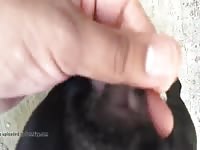 Small black hole got played beastiality porn video