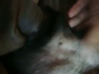 Gay whore enjoyed a k9 dog sex