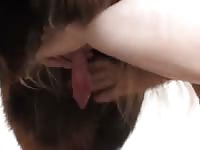 Big dog dick getting pleasured