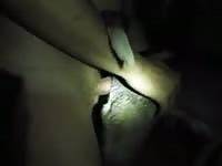 Gay beast fucking a dog's butthole