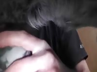 Beastie gal masturbating a dog