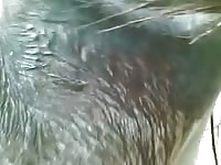 Zoophilia xvideos with gay and man